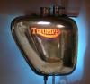 Triumph Wall Sconce